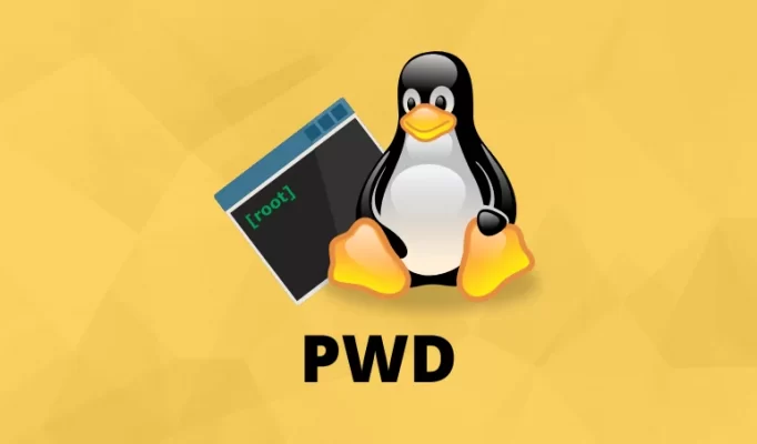 comando-pwd-linux